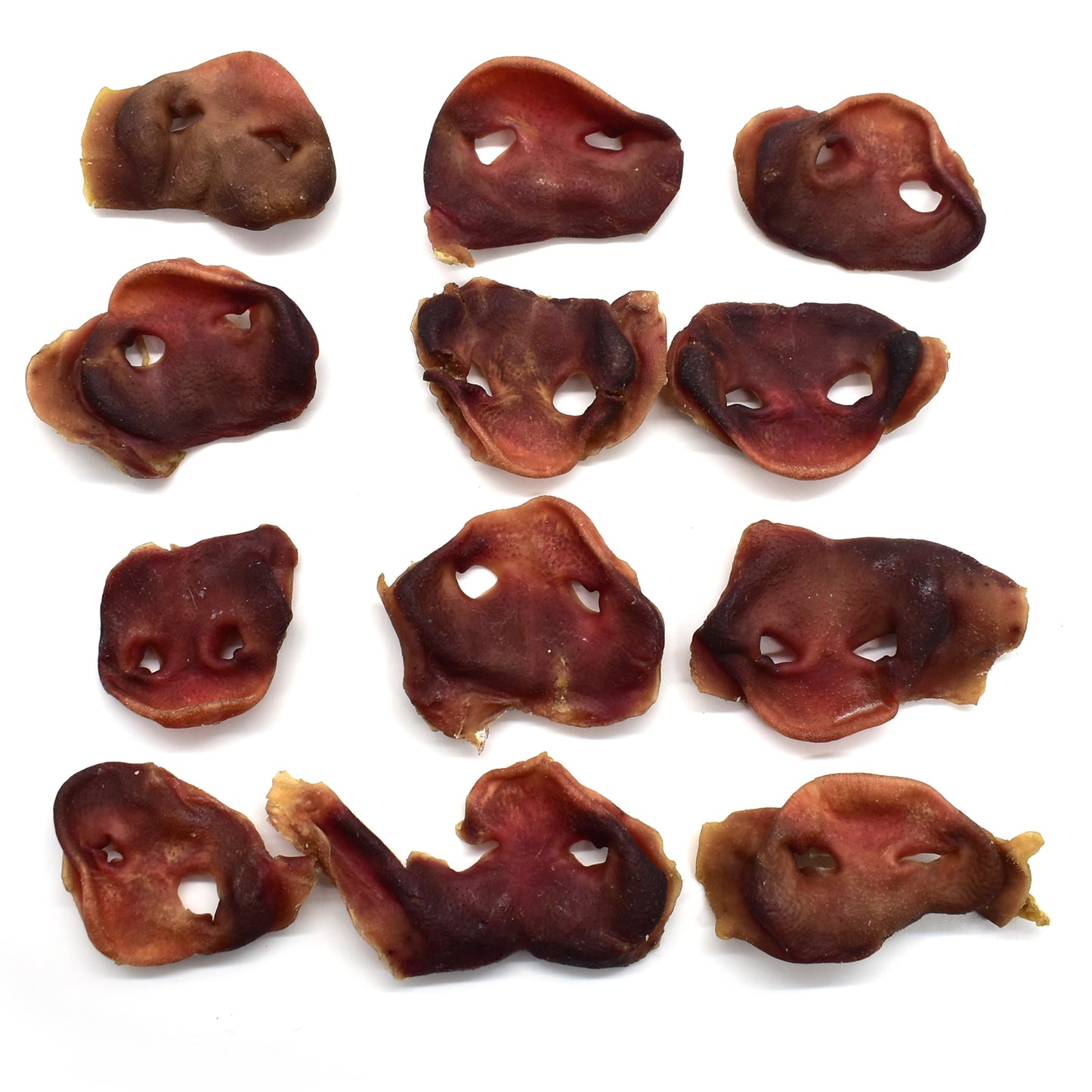 Porky Snouts
