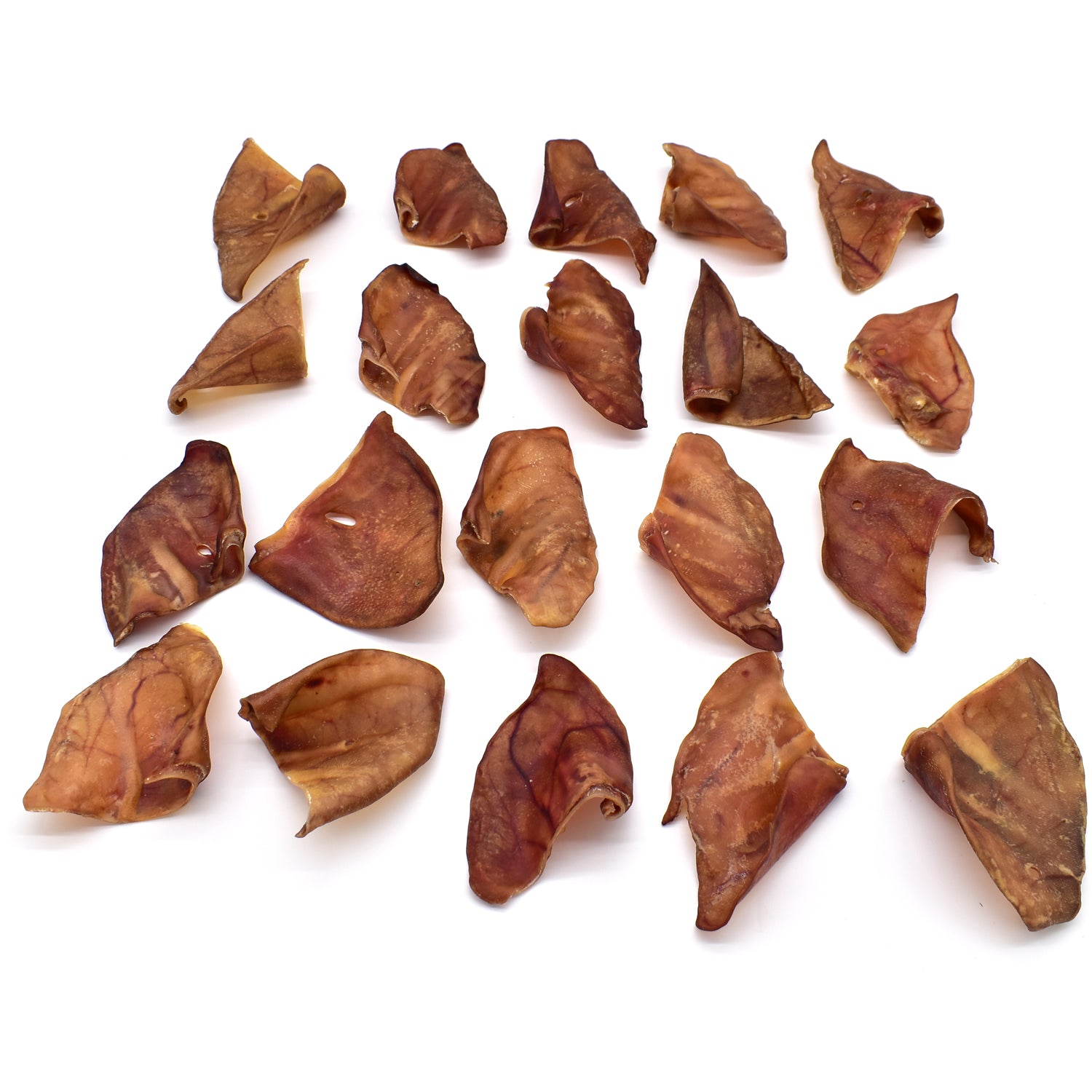 XL Pigs Ears Image 5