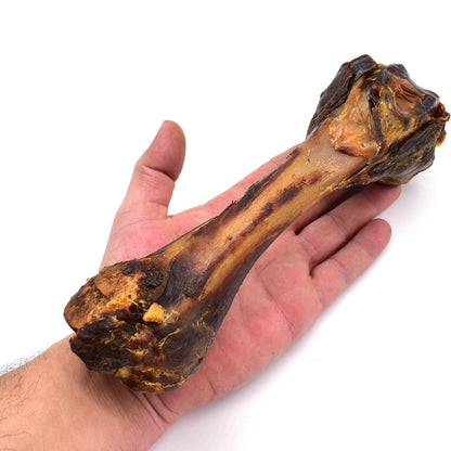 Iberian Ham Bone Image 4