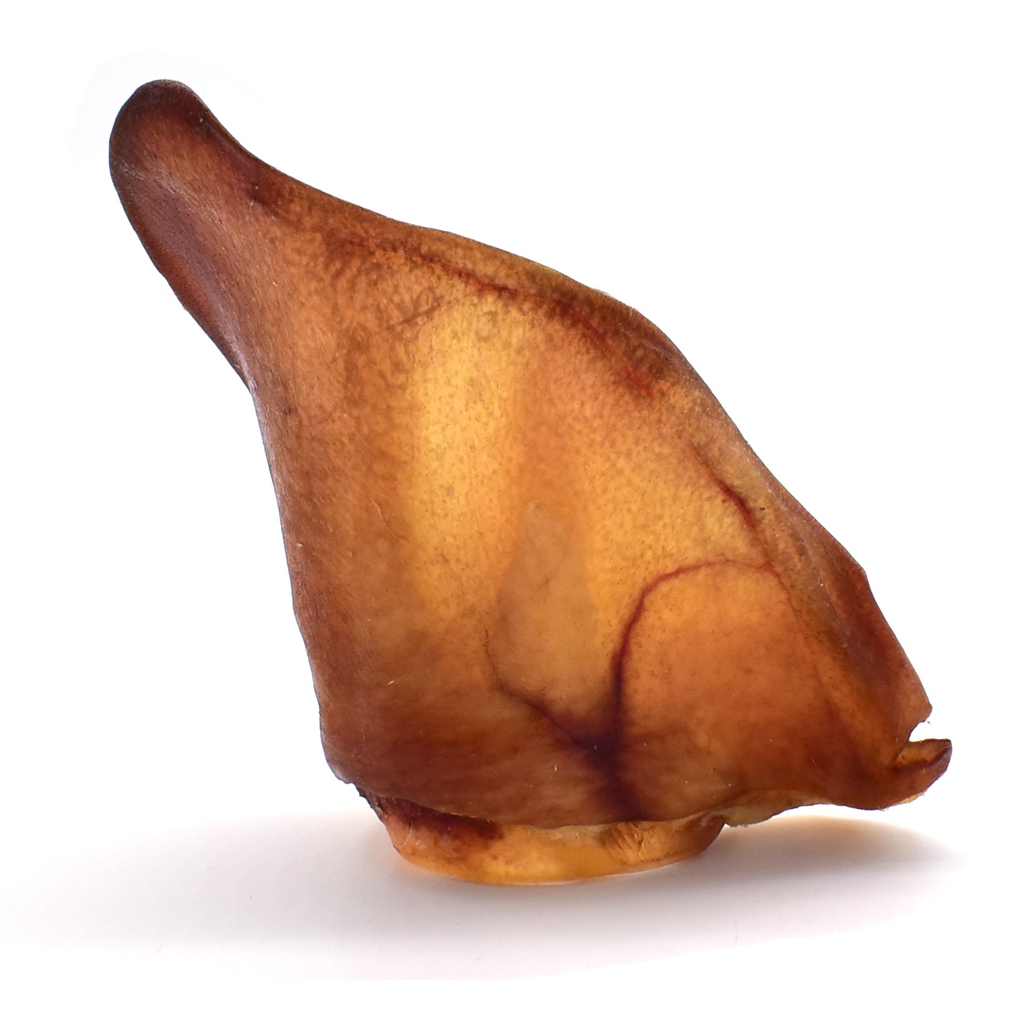 Luxury Iberian Pigs Ear Image 2