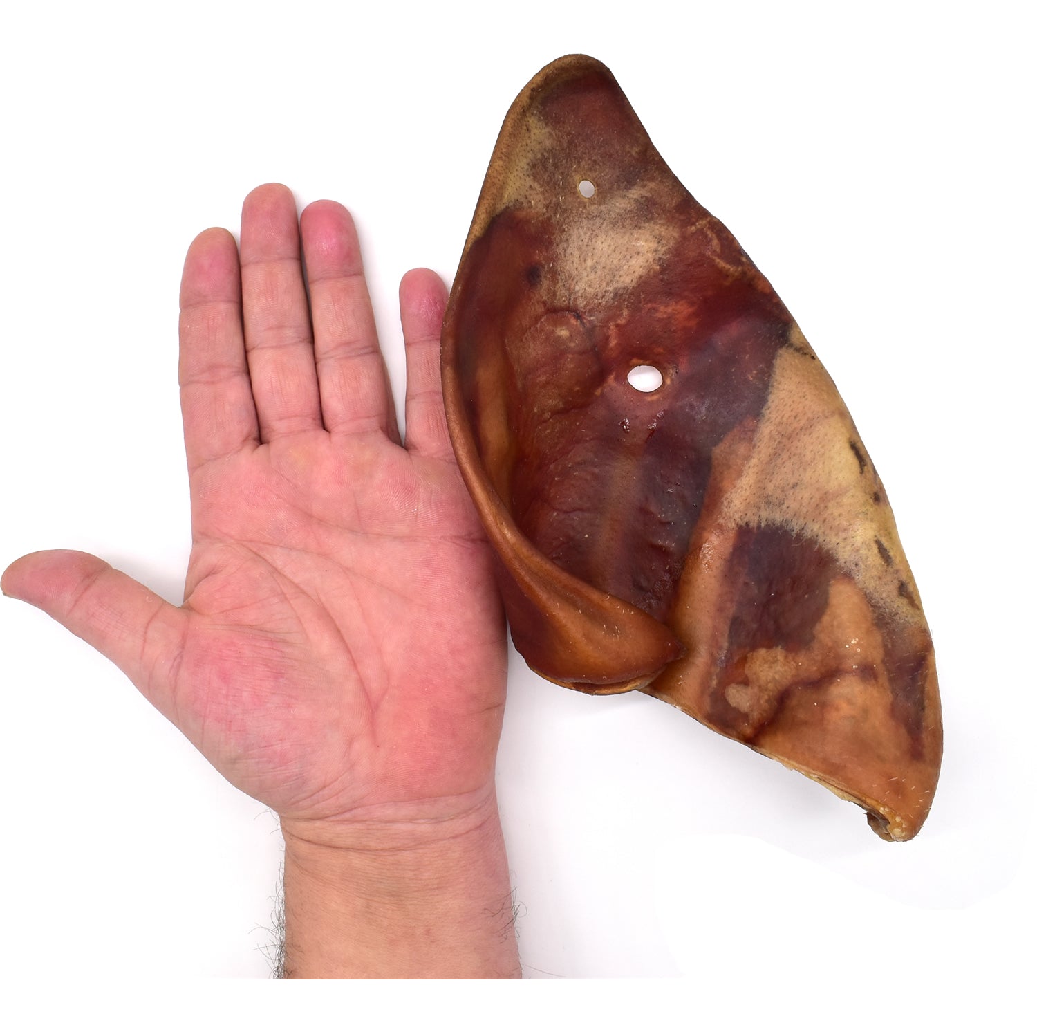 XXXL Massive Jumbo Sows Ears x 30 (image 3)