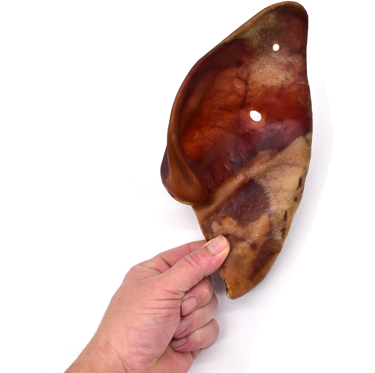 XXXL Massive Jumbo Sows Ears x 5 (image 5)