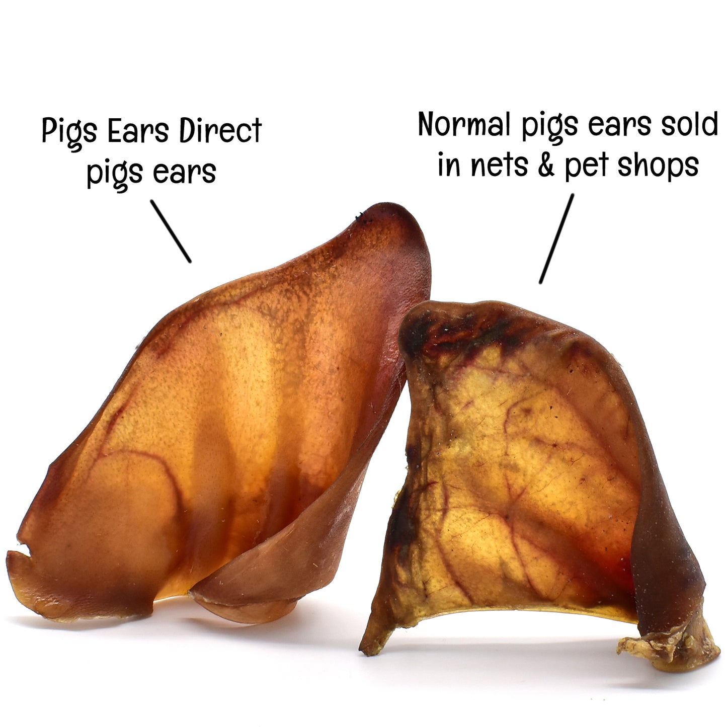 Luxury Iberian Pigs Ear Comparison