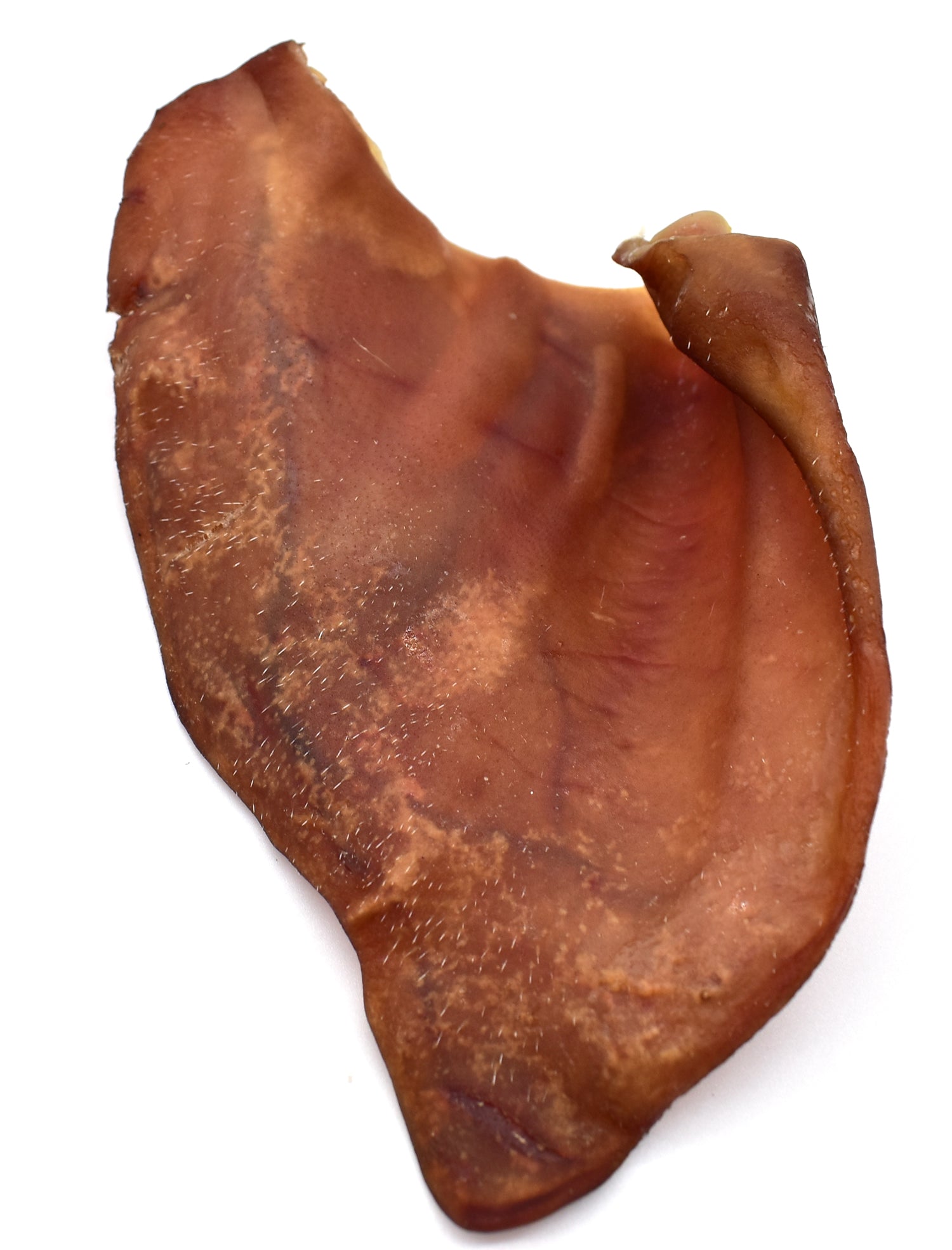 Jumbo Premium XL Pigs Ears Pigs Ears Direct