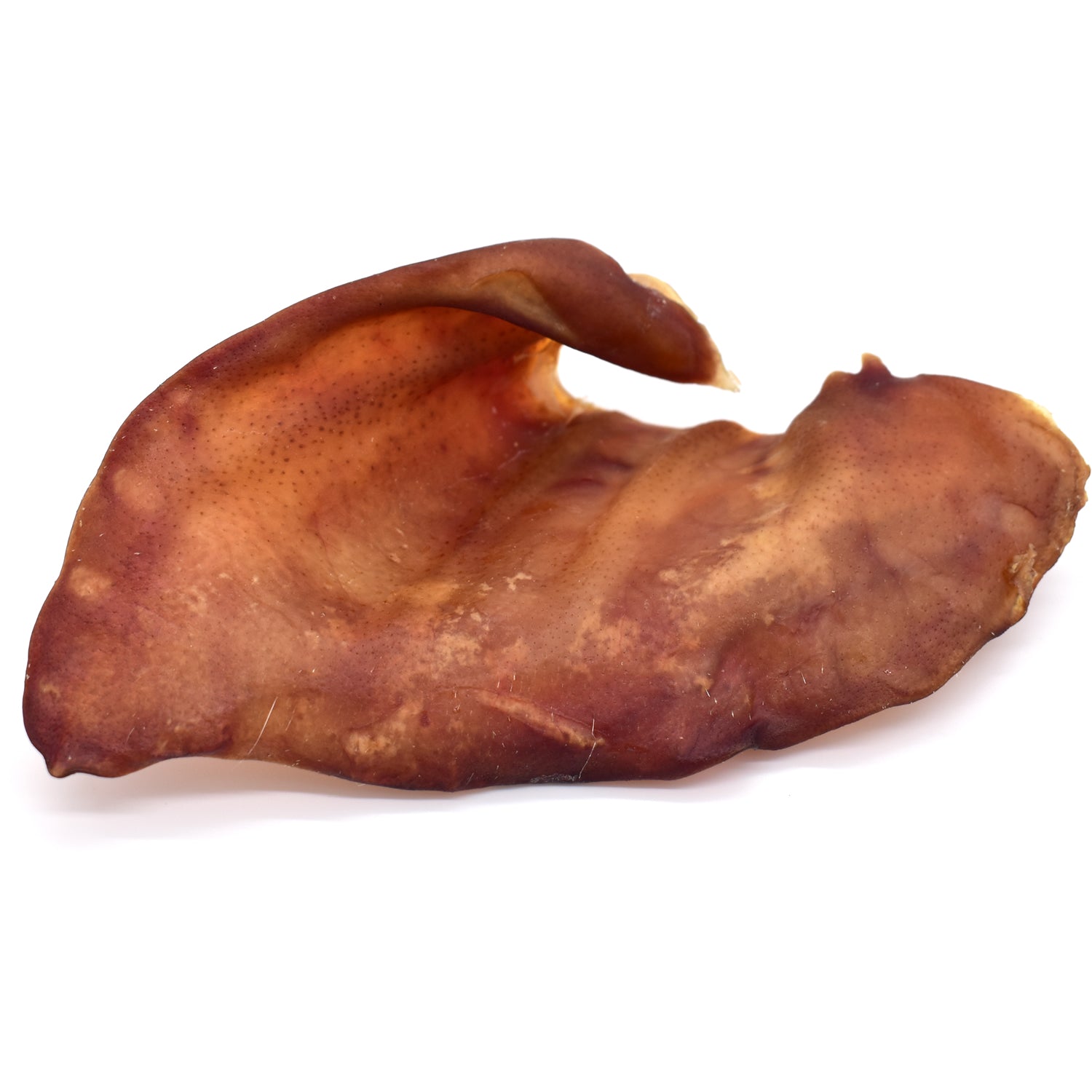 XL Pigs Ears Image 7