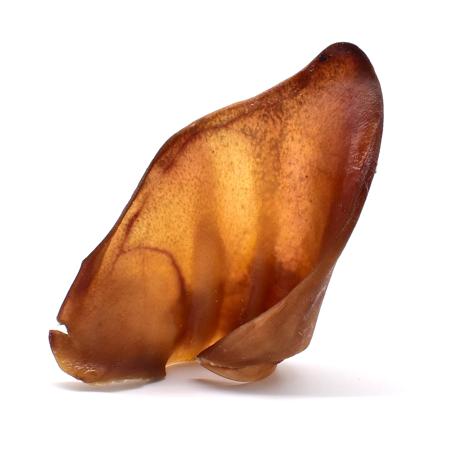 Iberian Pigs Ear Image 1