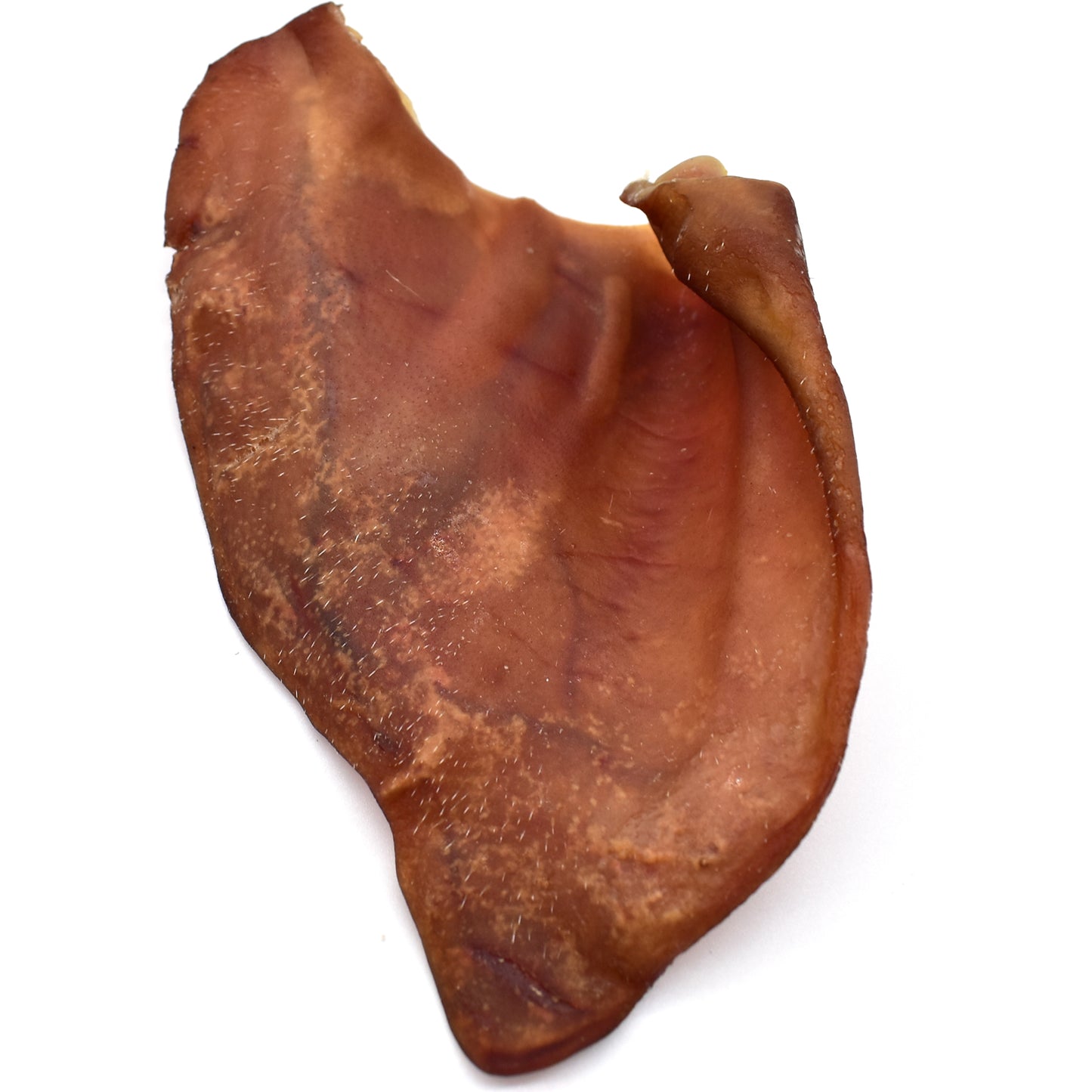 XL Pigs Ears Image 8