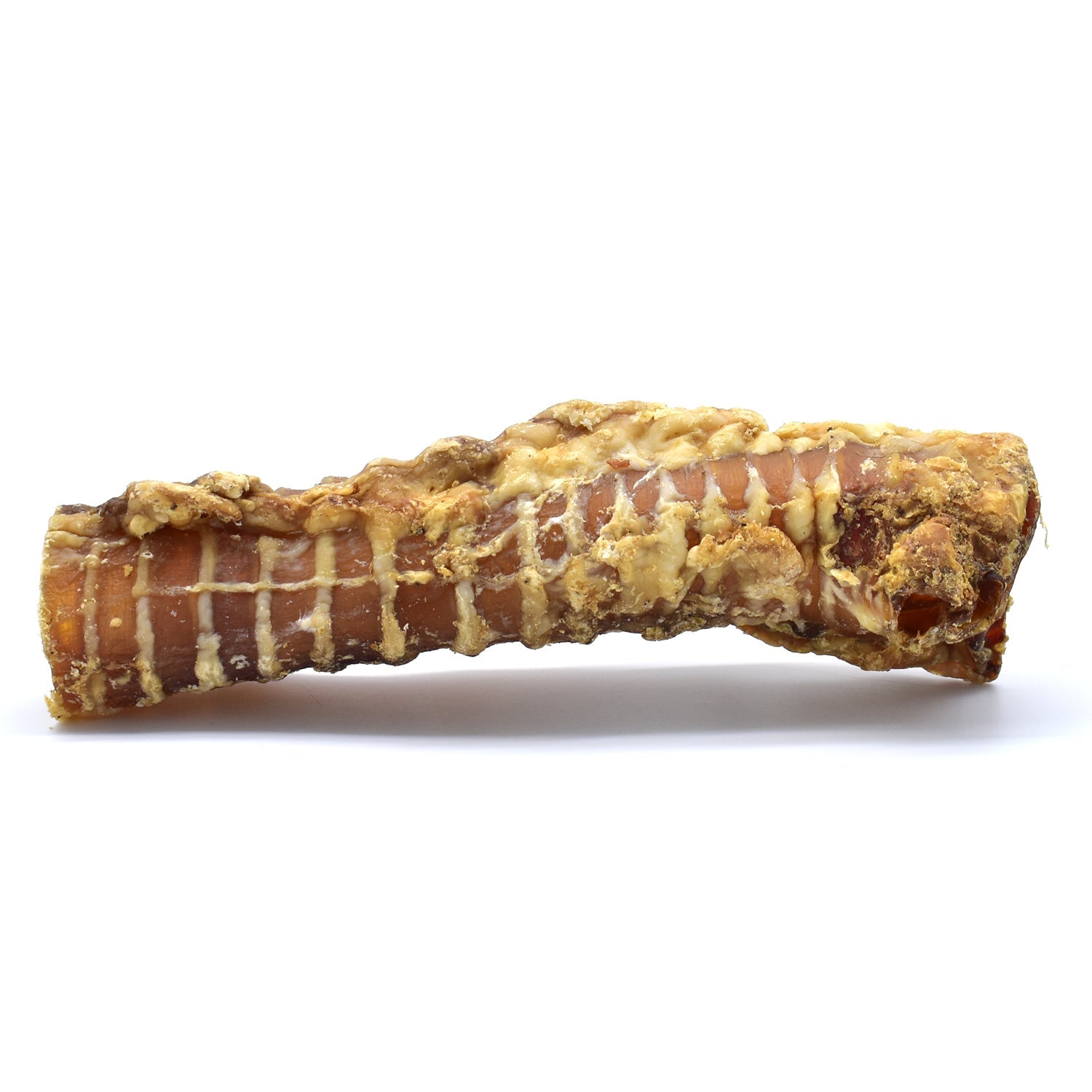 Beef Trachea Image 1