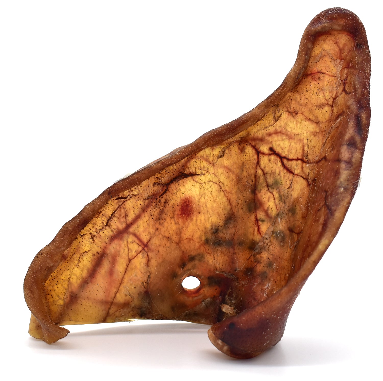 Jumbo Premium XL Iberian Pigs Ears